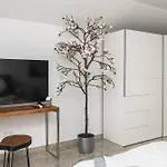 Mandaroza *